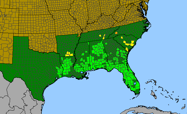 The range of Polygala nana
